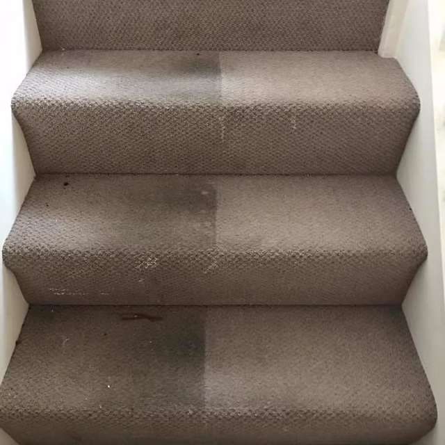 Professional carpet cleaning service in Preston